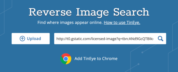 Top Best Reverse Image Search Tools of 2024