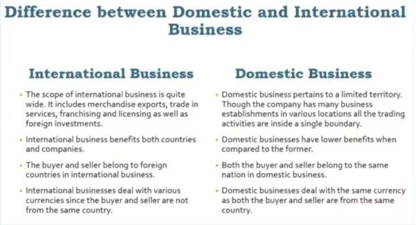 Differences Between Domestic and International Business with Example