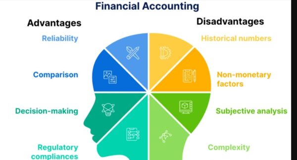 advantages and disadvantages of financial accounting